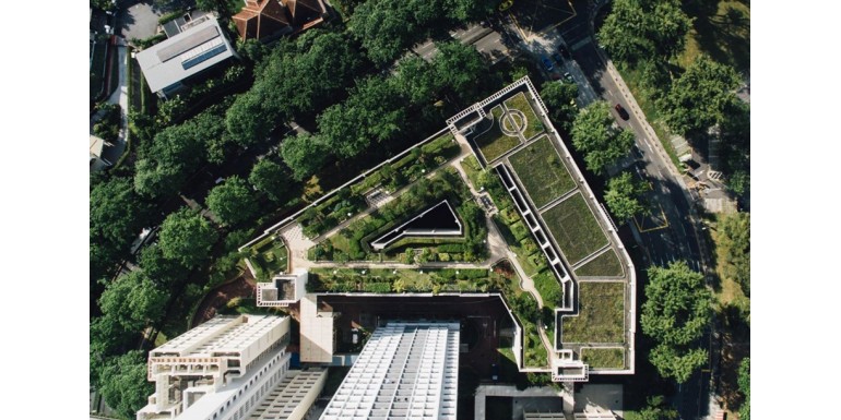 TECHOS VERDES EN COPENHAGUE