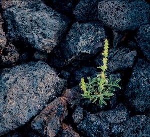 aislamiento-lana-roca-cubimat-min